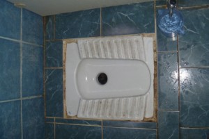 Turkish Toilet 101