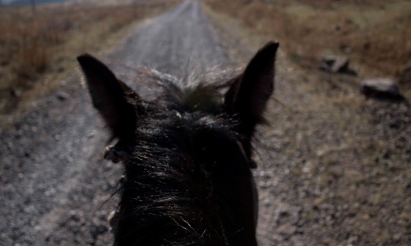 Kirgisistan auf dem Pferderücken