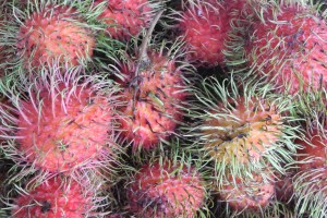 17 Southeast Asian Fruits