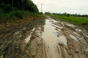 Cycling through Sumatra Part 2: Barefoot through mud and goat poop