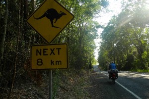 Cycling Australia Part 5: Eight flat tires in a day