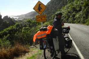Mit dem Rad durch Neuseeland Teil 6: Wettblöken mit einheimischen Schafen