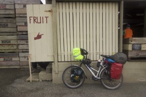 Cycling New Zealand Part 7: Through Mudflats and Sounds