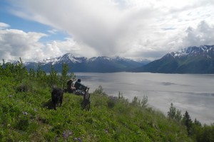 Cycling Alaska: Cycling the Glenn Highway