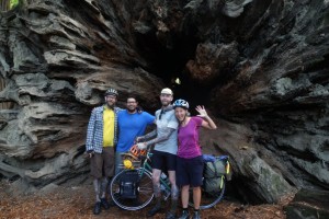Cycling California Part 1: Redwoods and dreadlocks