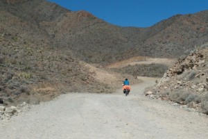Antelopes, coyotes and rock paintings – Baja by bicycle part 4