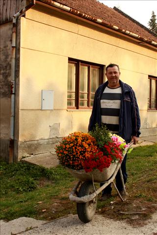 The Flower Man in Batina