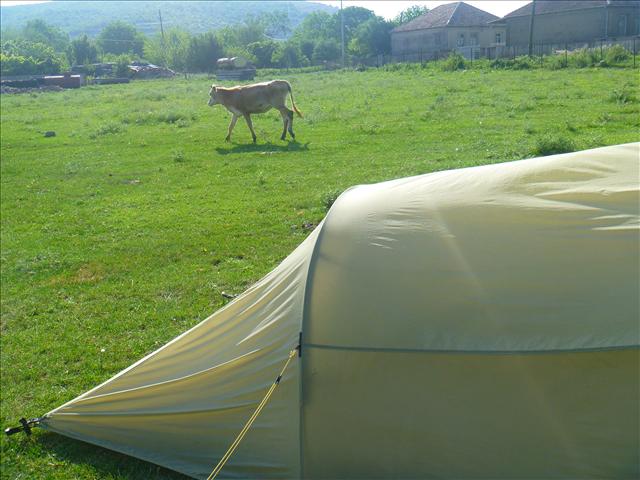 Camping inside the village's football field. A space for old, young and cows