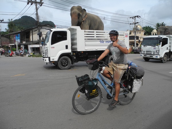 Elephant transport in Thailand