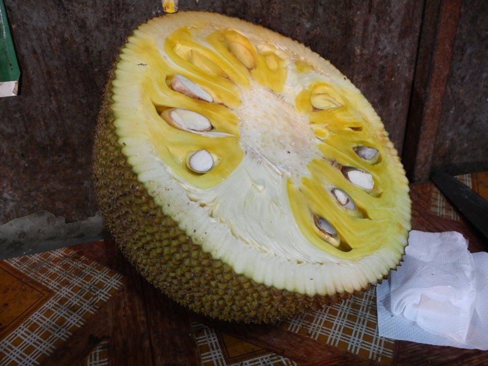 Jackfruit cut in half