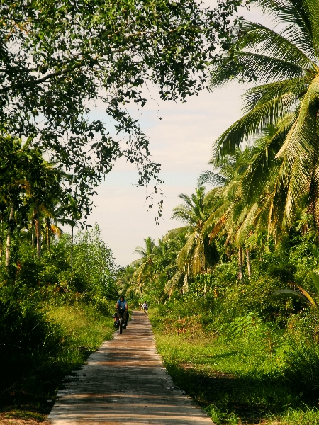 Bike path in Sumatra