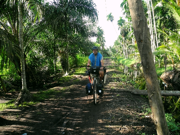Forest bicycle path in Sumatra