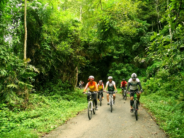 Riding though the green forrest in Kedah