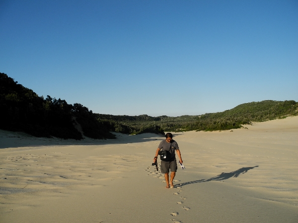 Sand dunes in Thurra River