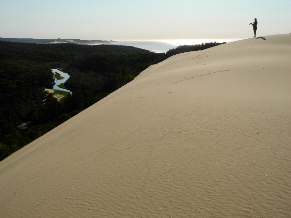 Sand dunes in Thurra River