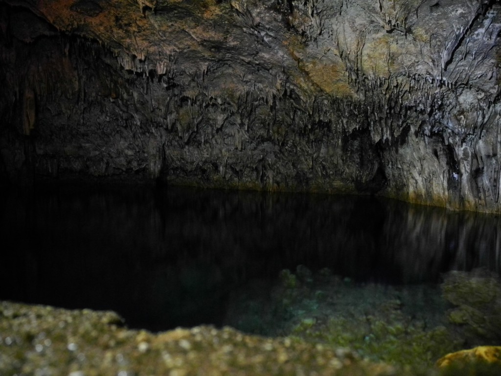 We biked to a little cave in the East of Tongapatu. It was pitch dark inside, but we brought headlamps. In the end of the path there was a black and still freshwater lake