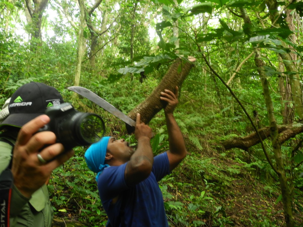He showed us how to find water in the rainforest, when there was no stream nearby