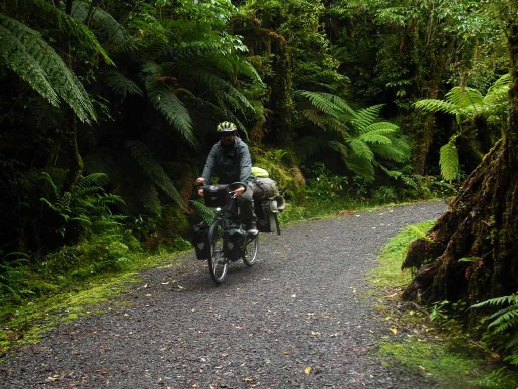 Biking through the rainforest from Fox Glacier