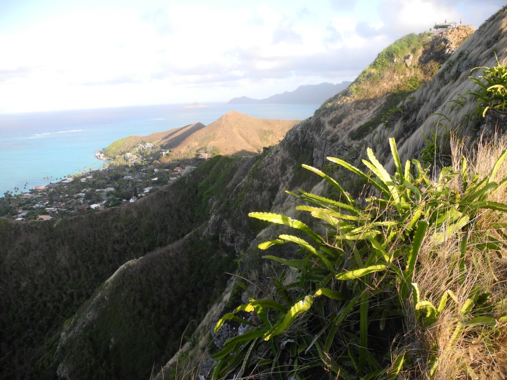 View from the Pillbox Hiking Trail nach Kailua, O'ahu