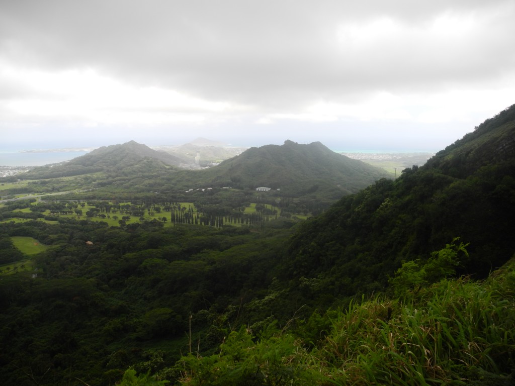 View from the Pali Highway Lookout