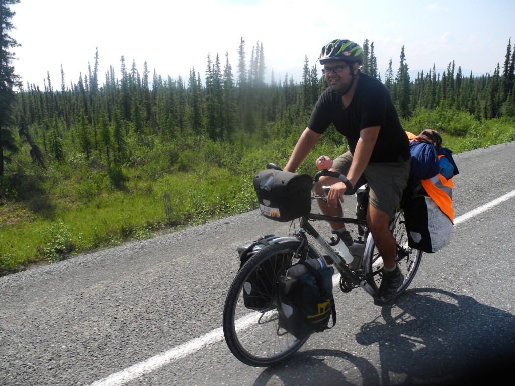 Cycling through spruce forest