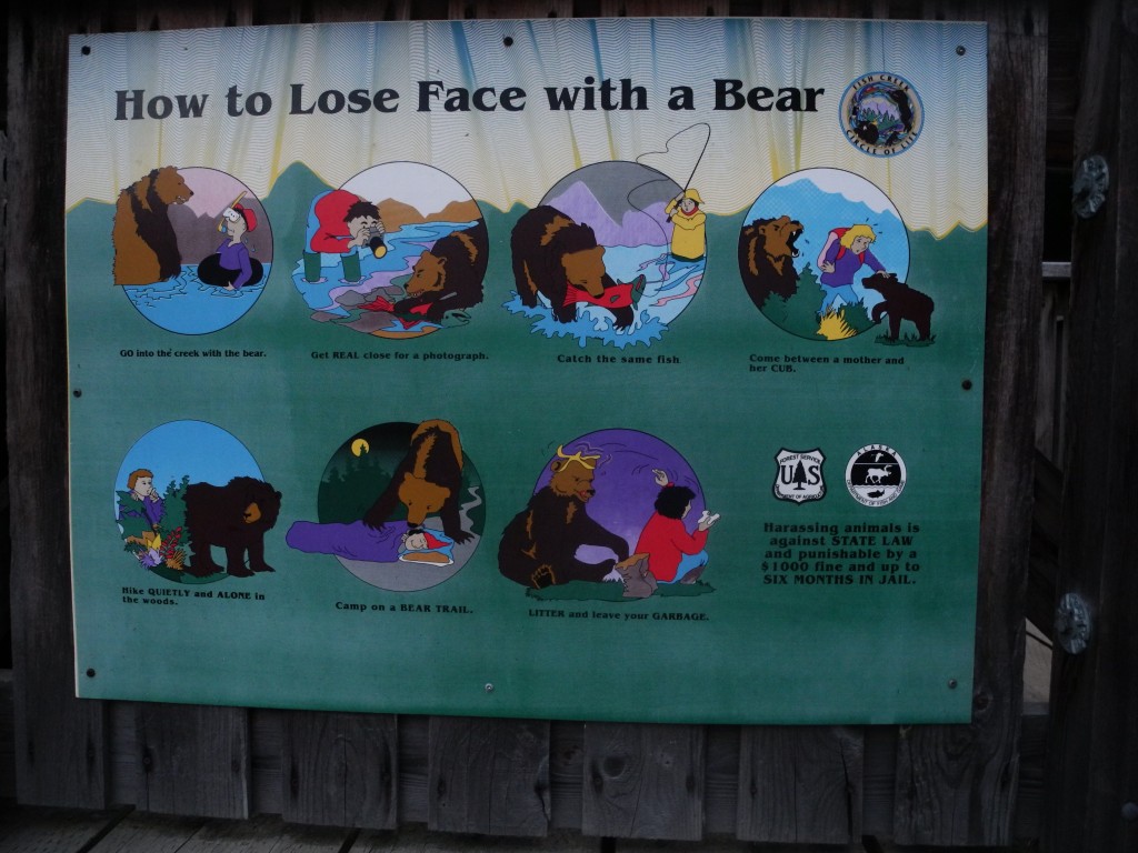 How NOT to approach a bear