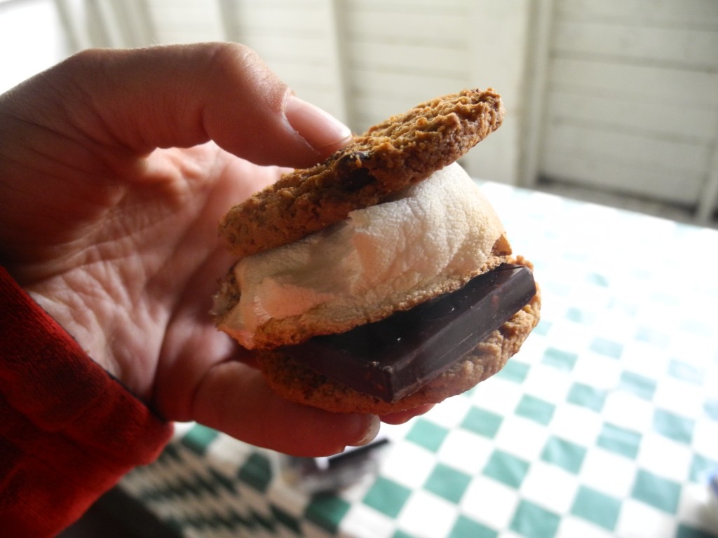 Famous and delicious S'mores!