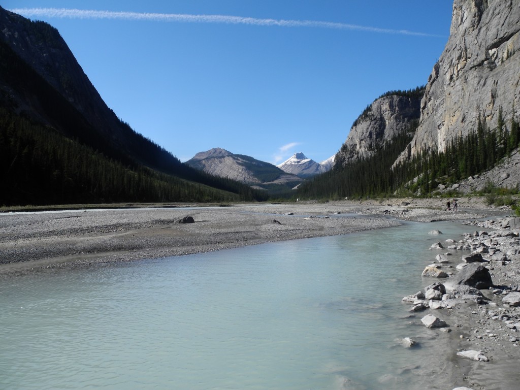 One of the many viewpoints along the Icefields Parkway