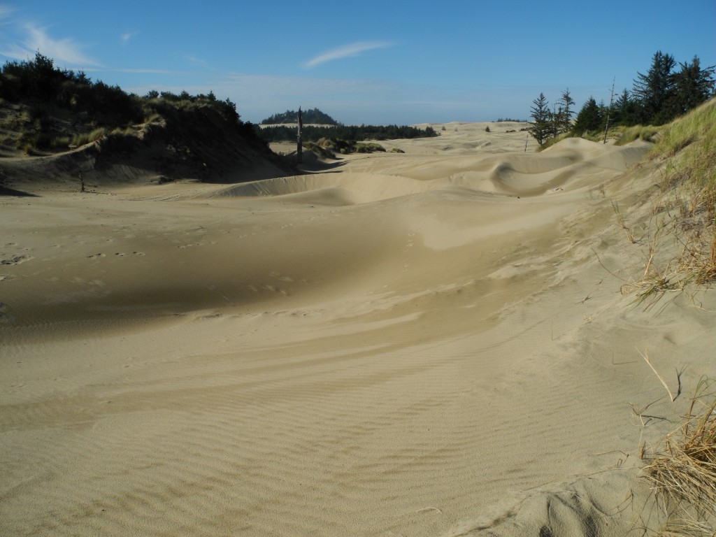Peaceful sand dunes