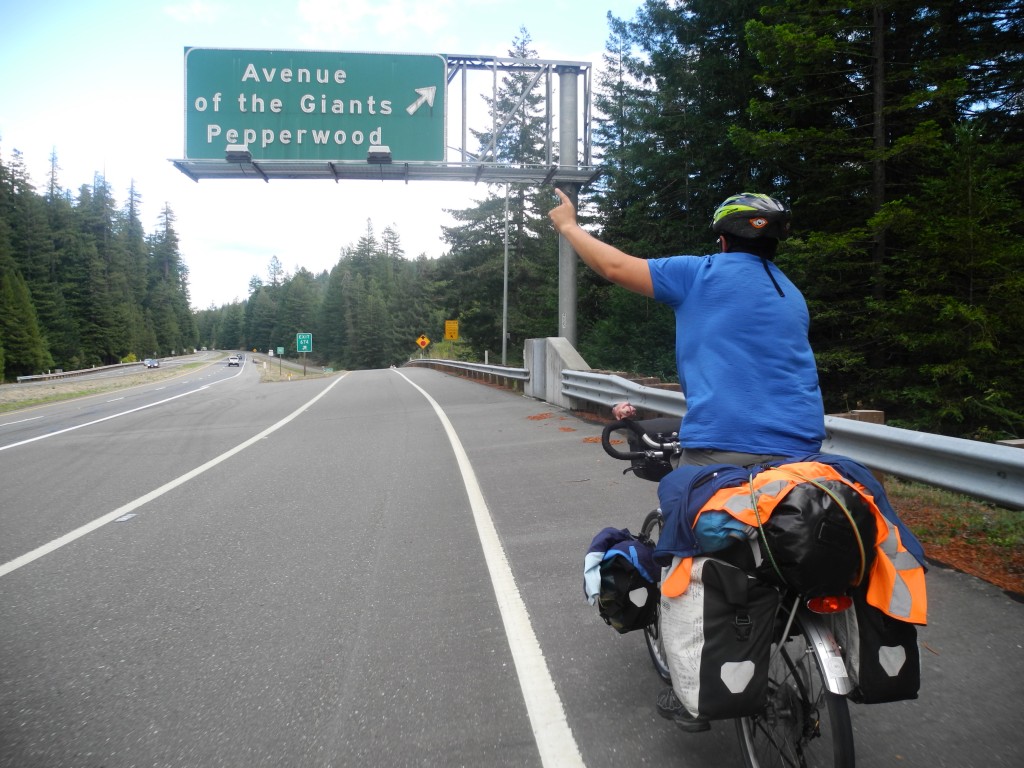 Cycling the Avenue of the Giants