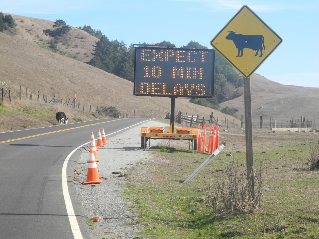 10 Minute delays for one cow? 