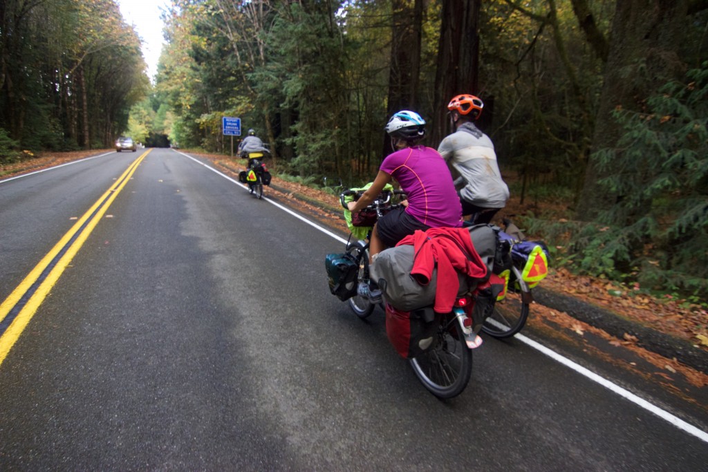 Easy riding on the Avenue of the Giants, California