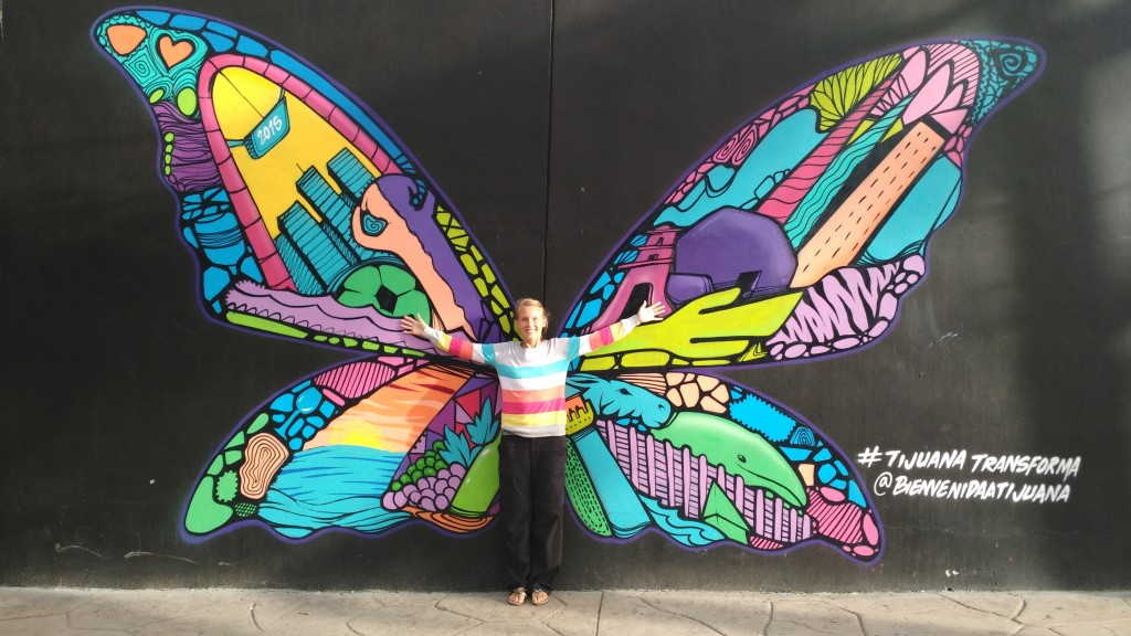 Butterfly in Tijuana's City Center #tijuanatransforma