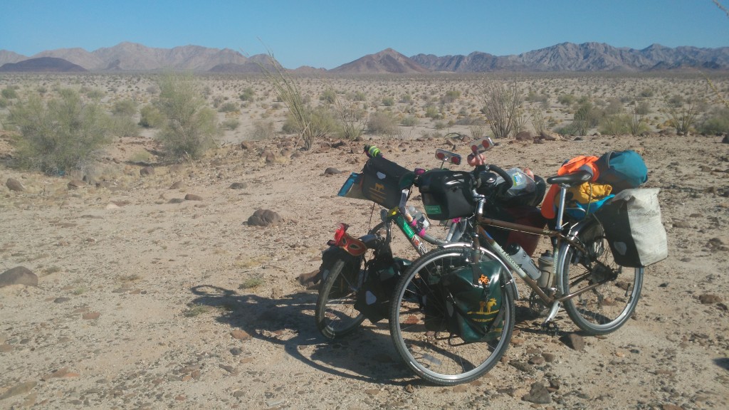 Bicycles in the desert