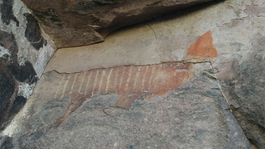 Ancient Rock paintings near Bahía de los Ángeles