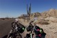 cycling towards the Valley of the Giants, Baja California, Mexico