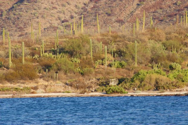 Typical Baja California landscape. Where the desert meets the sea
