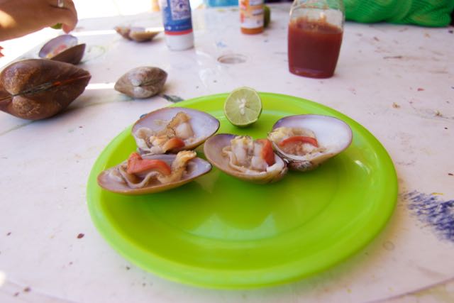 Chocolate clams