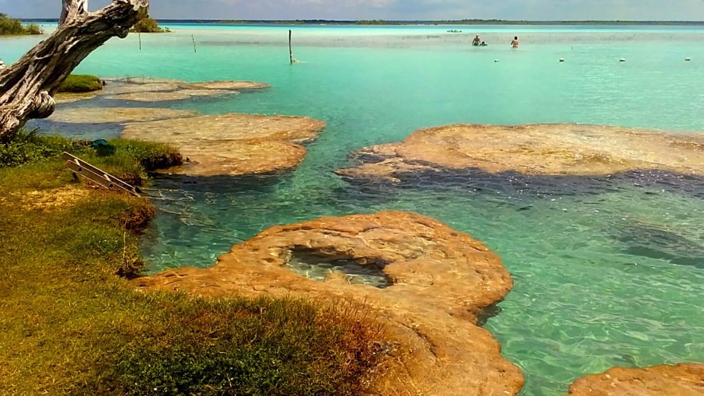 These rocks are actually living beings and very important for the health of the lagoon